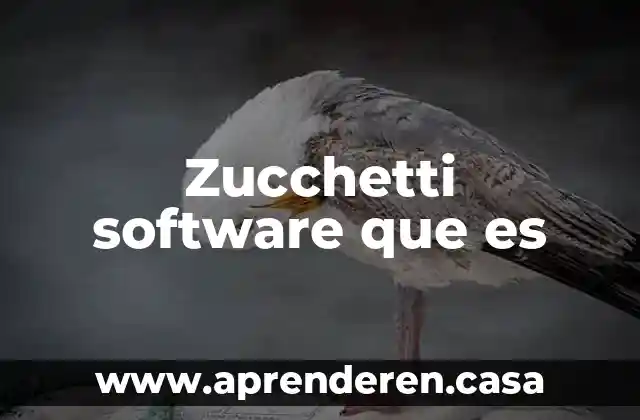 Que es programas software para abarrotes 5 Zucchetti software que es